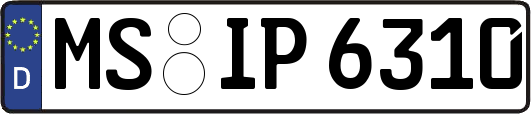 MS-IP6310