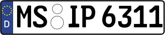 MS-IP6311