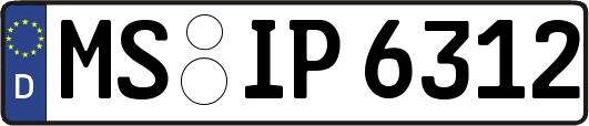 MS-IP6312