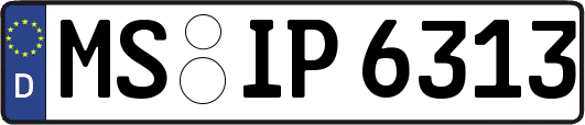MS-IP6313