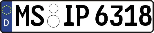 MS-IP6318