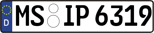 MS-IP6319