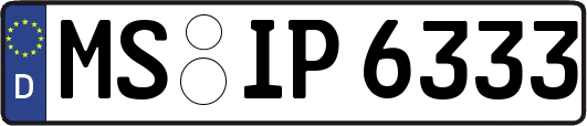 MS-IP6333