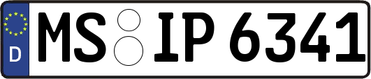 MS-IP6341