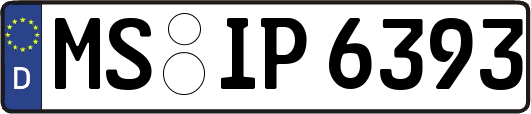 MS-IP6393