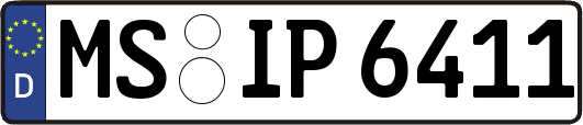 MS-IP6411