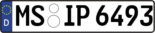 MS-IP6493