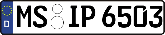 MS-IP6503