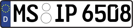 MS-IP6508