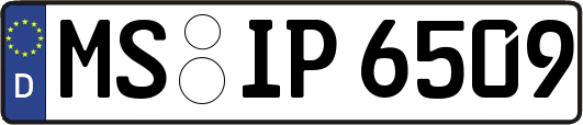 MS-IP6509