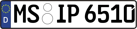 MS-IP6510