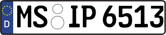 MS-IP6513