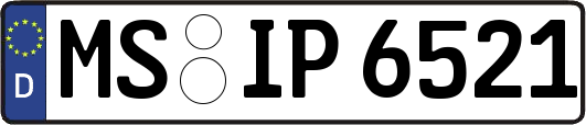 MS-IP6521