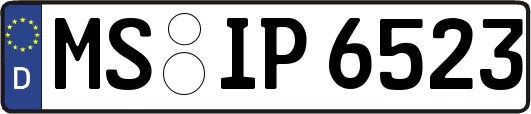 MS-IP6523