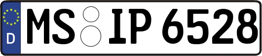 MS-IP6528