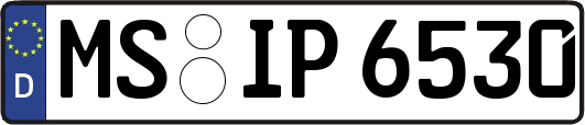 MS-IP6530