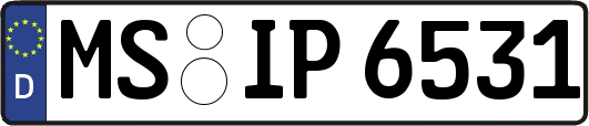 MS-IP6531