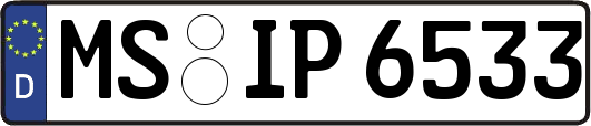MS-IP6533