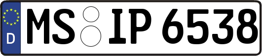 MS-IP6538