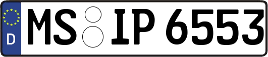 MS-IP6553