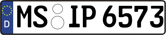 MS-IP6573