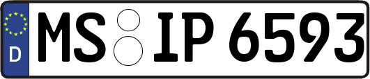 MS-IP6593