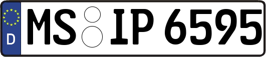 MS-IP6595