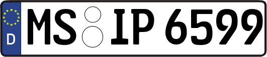 MS-IP6599