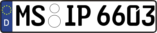 MS-IP6603