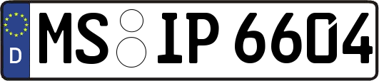 MS-IP6604