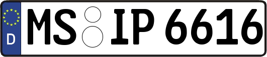 MS-IP6616