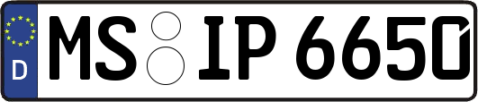 MS-IP6650
