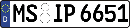 MS-IP6651