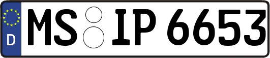 MS-IP6653