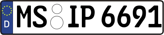 MS-IP6691