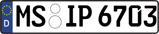 MS-IP6703