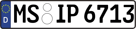MS-IP6713