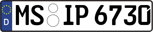 MS-IP6730