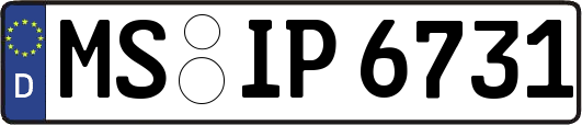 MS-IP6731