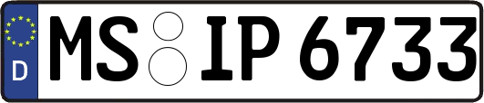 MS-IP6733