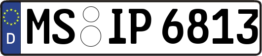 MS-IP6813