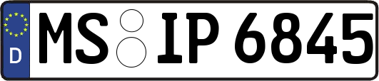 MS-IP6845