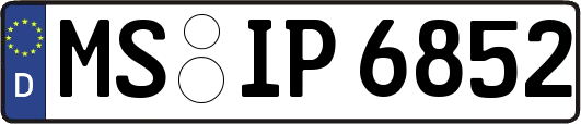 MS-IP6852