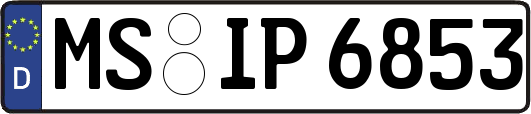 MS-IP6853