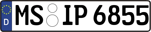 MS-IP6855