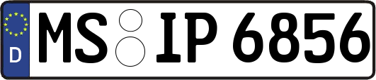 MS-IP6856