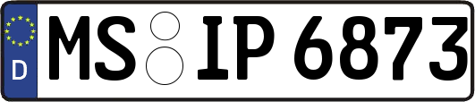MS-IP6873