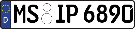 MS-IP6890