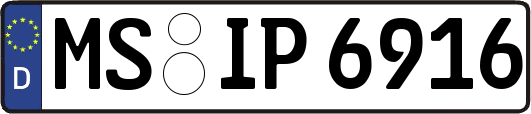 MS-IP6916