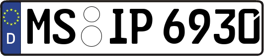 MS-IP6930